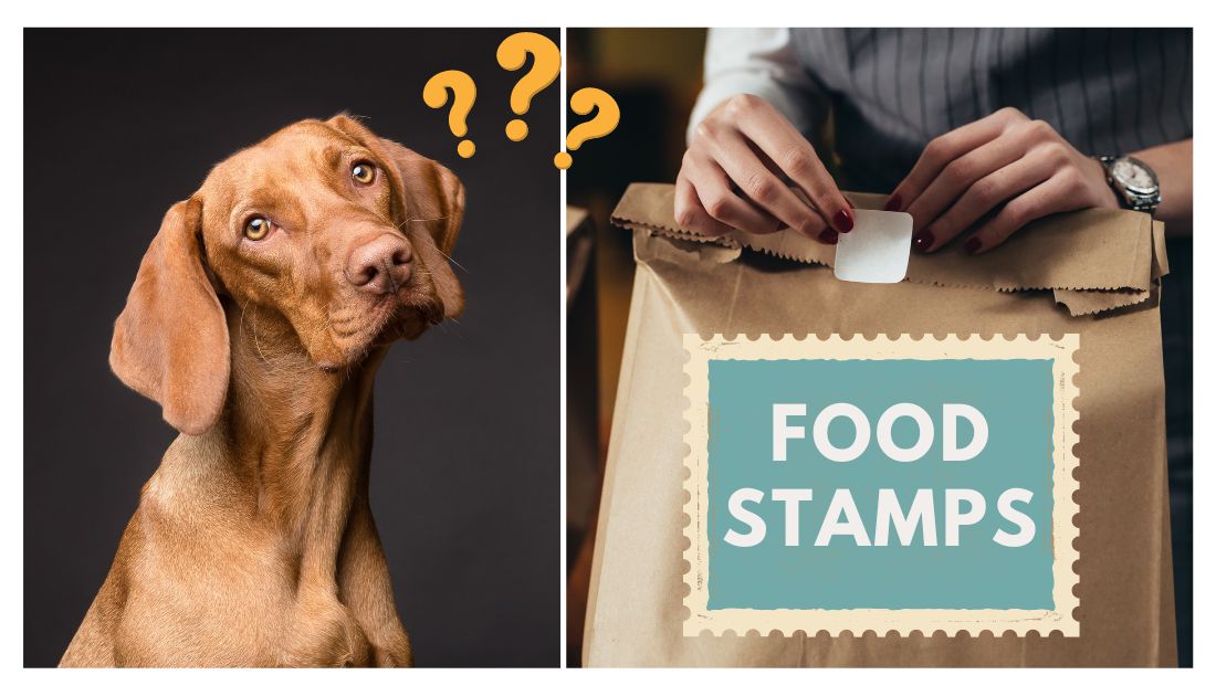 Can You Buy Dog Food with Food Stamps