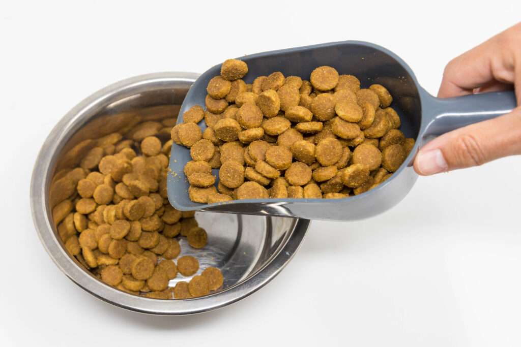 How Many Cups Are in a Pound of Dog Food