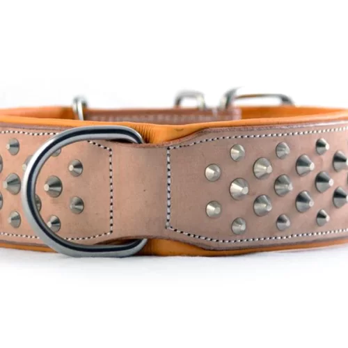 How to Make Leather Dog Collars