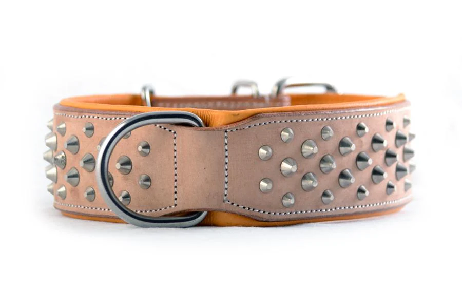 How to Make Leather Dog Collars